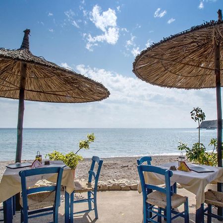 Coral Front Beach Zekros Room photo