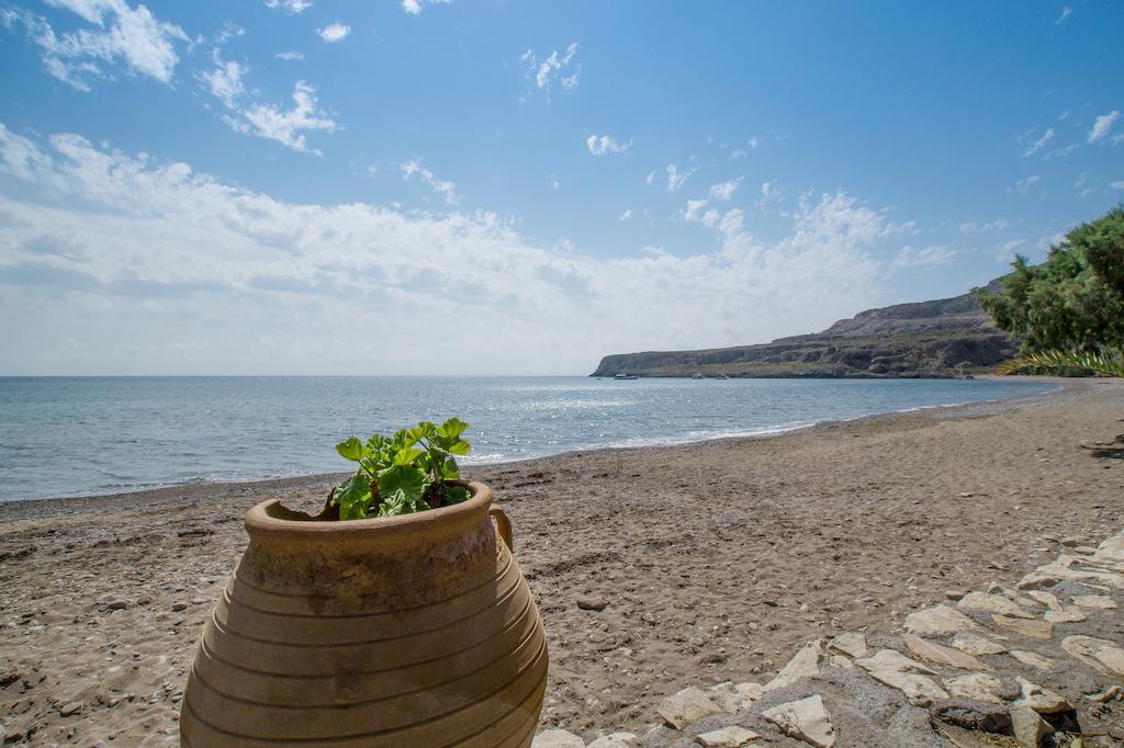 Coral Front Beach Zekros Room photo