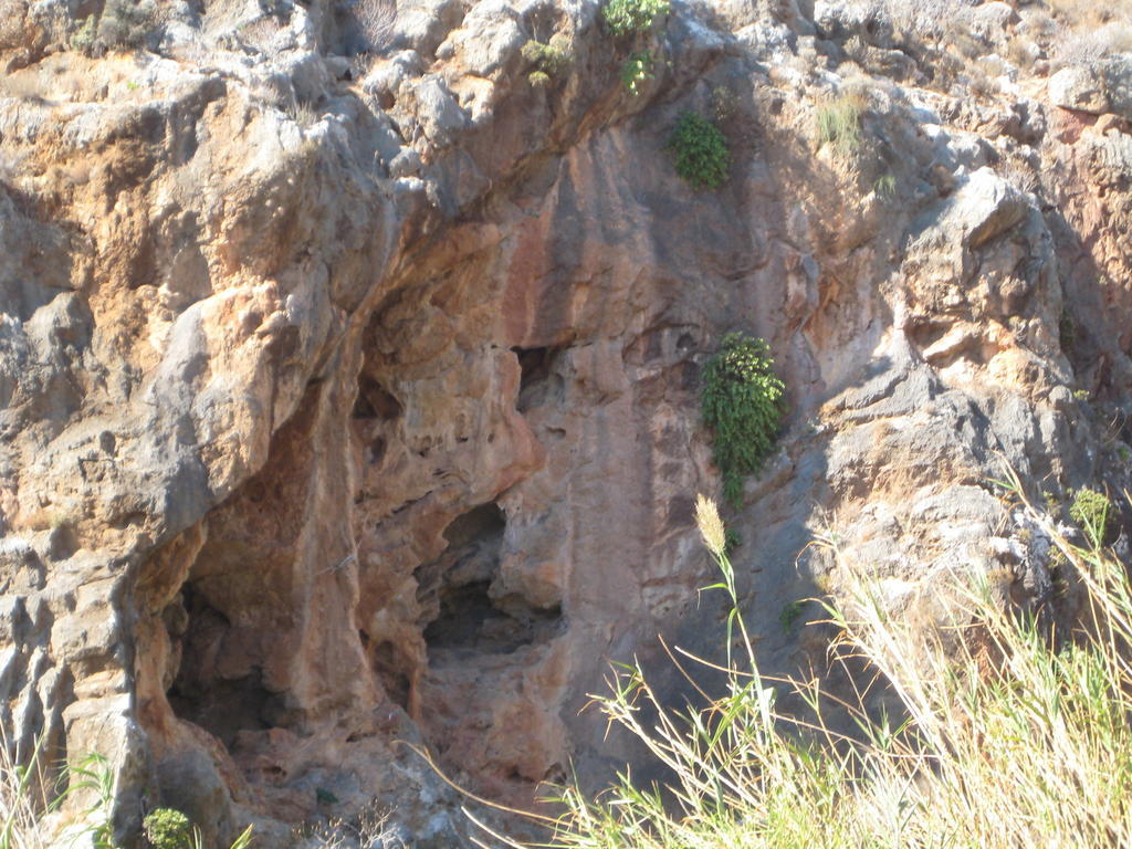 Coral Front Beach Zekros Exterior photo